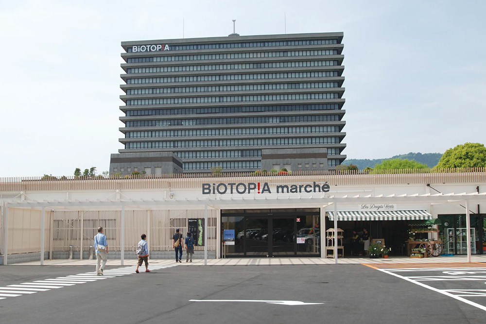 株式会社 システムデザイン