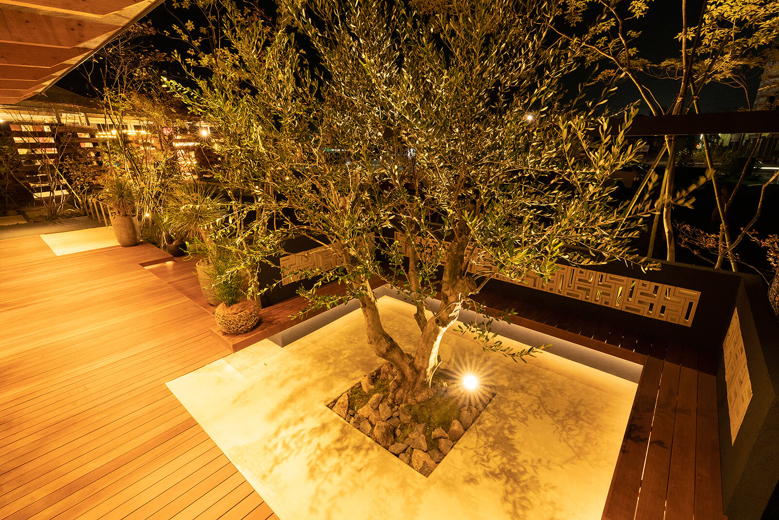 株式会社little bear garden