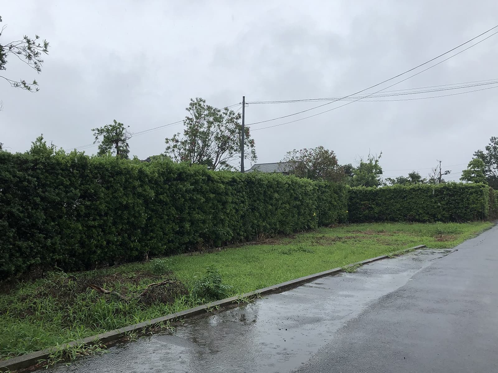 スペースガーデニング株式会社