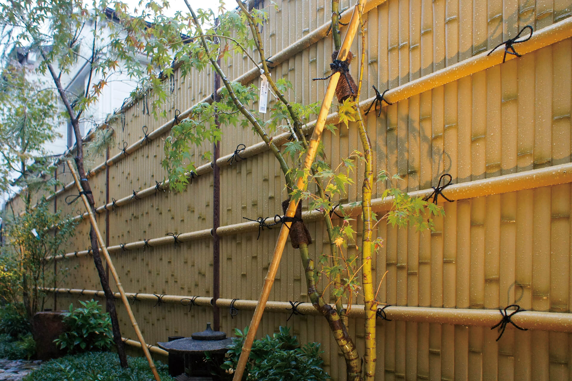 株式会社フェリシア