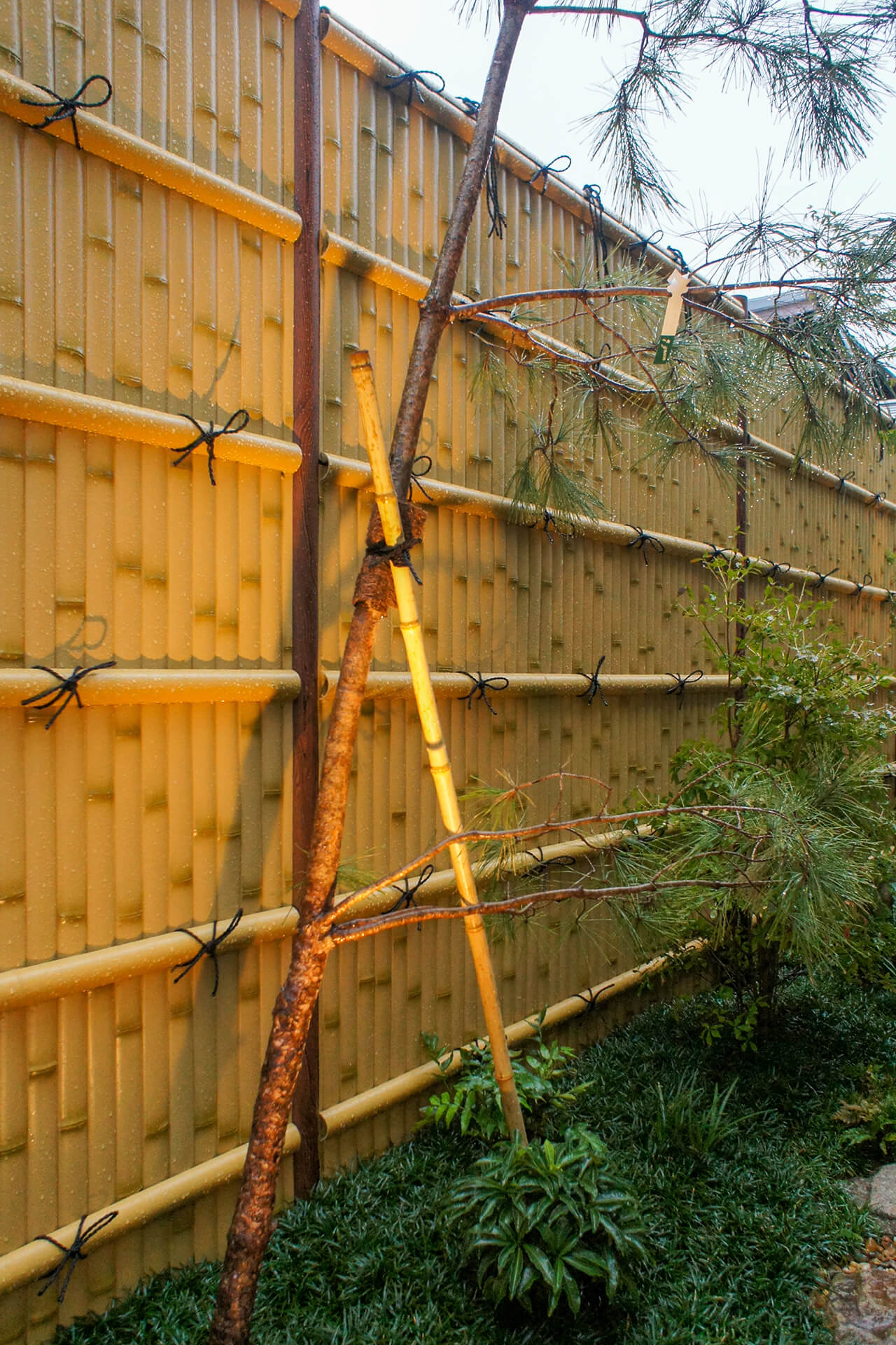 株式会社フェリシア