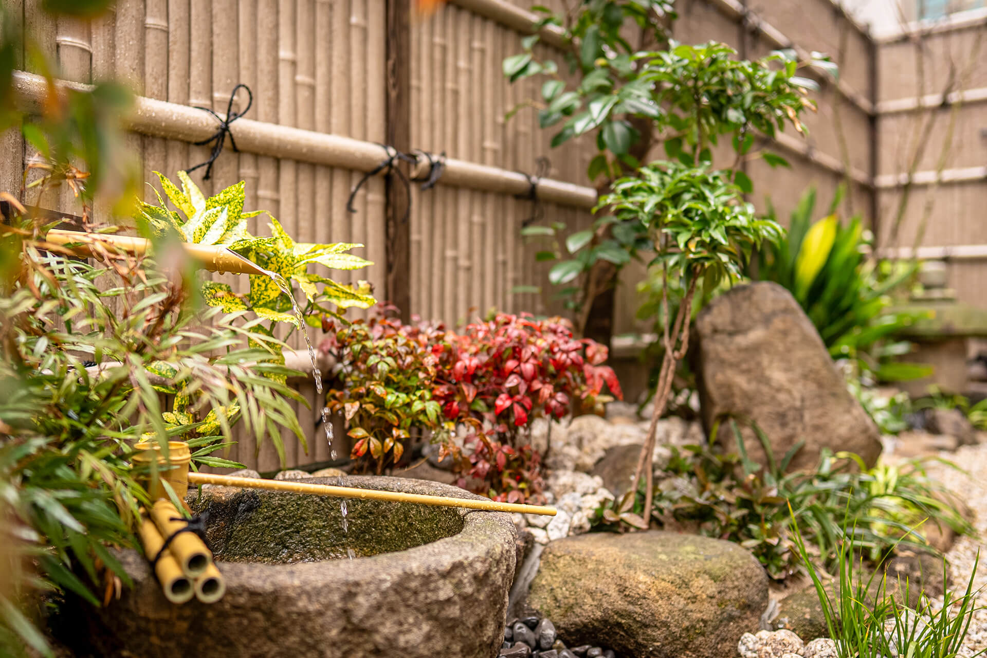 リコルソガーデン