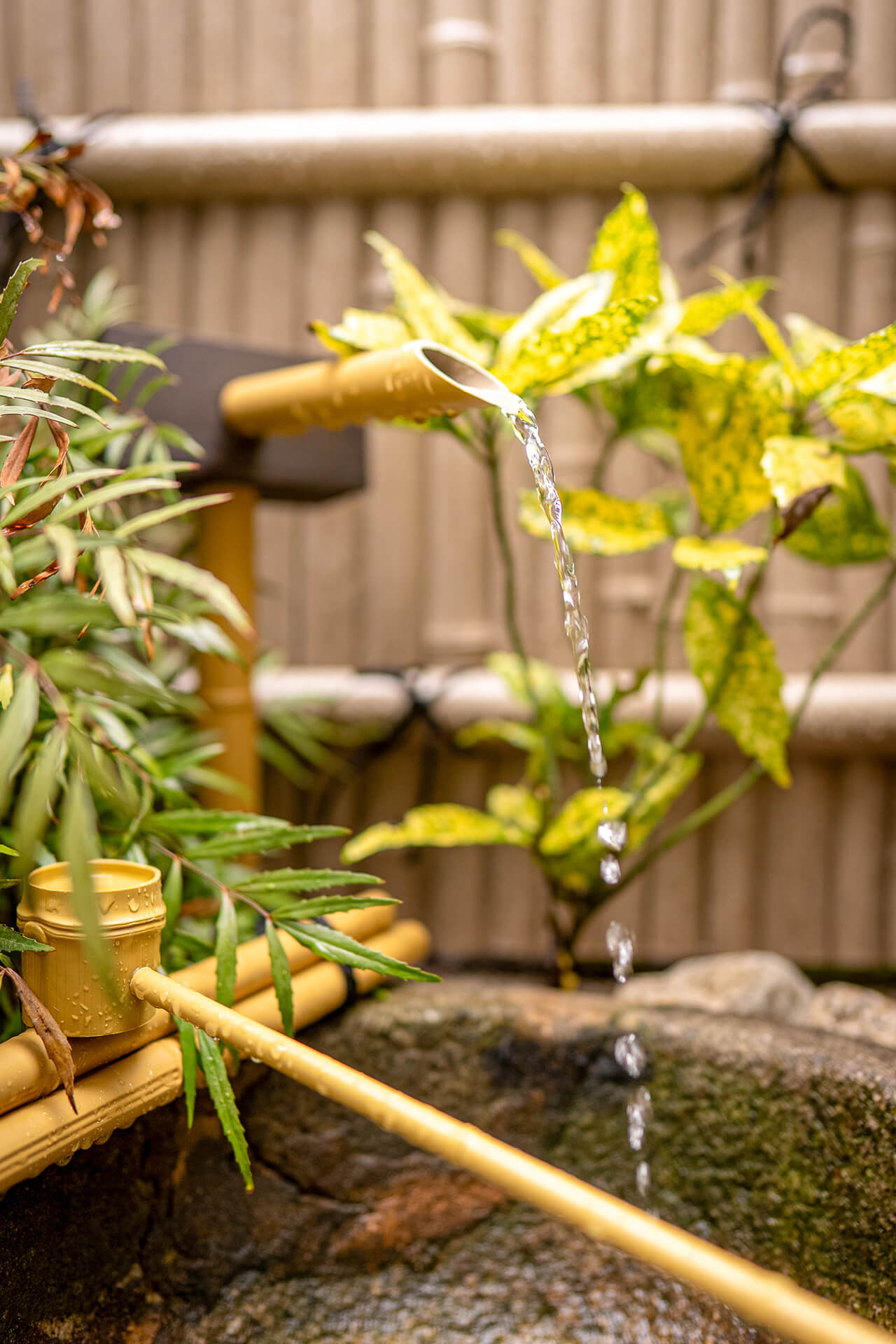 リコルソガーデン